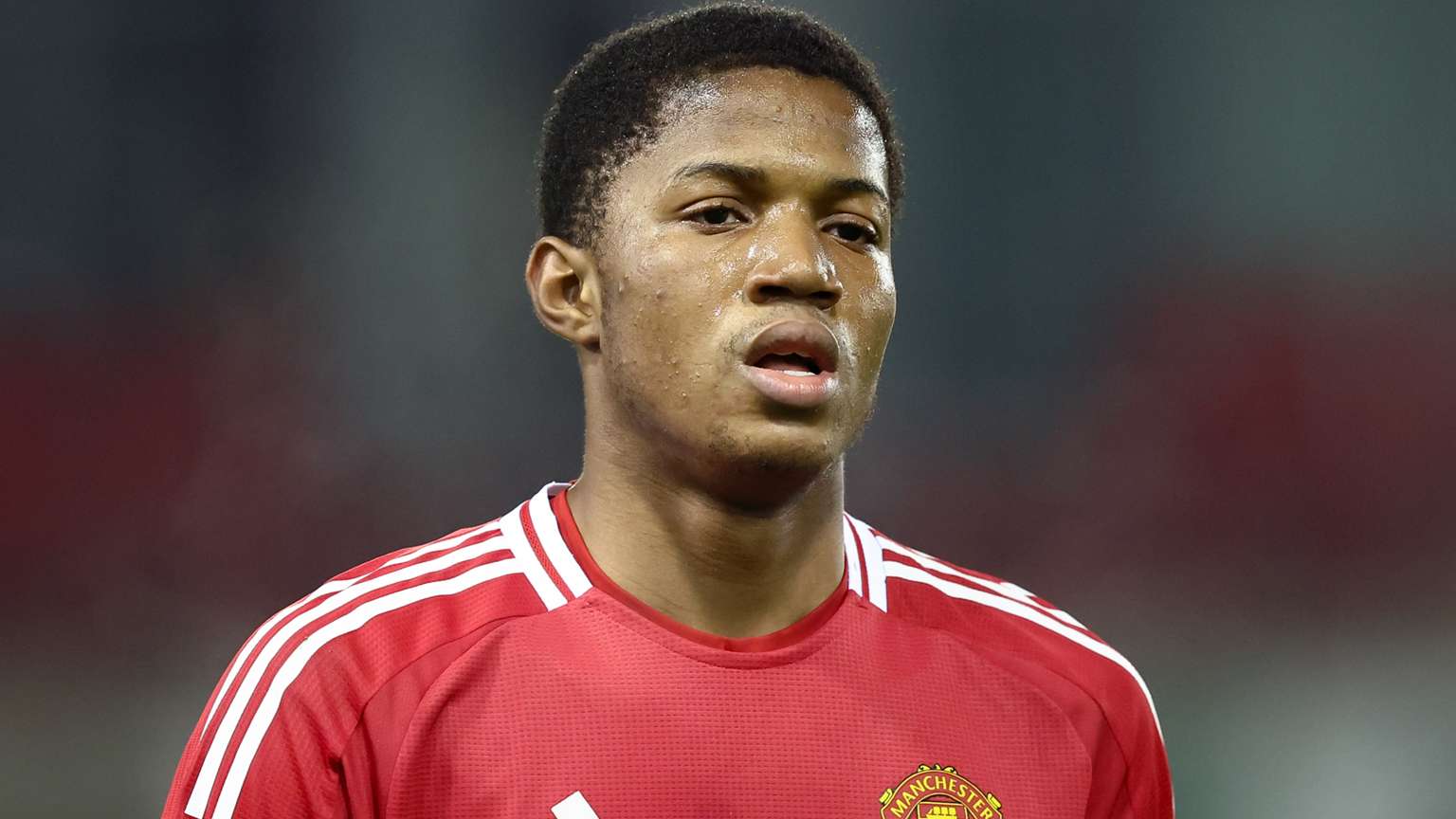 射击运动的 射击运动的